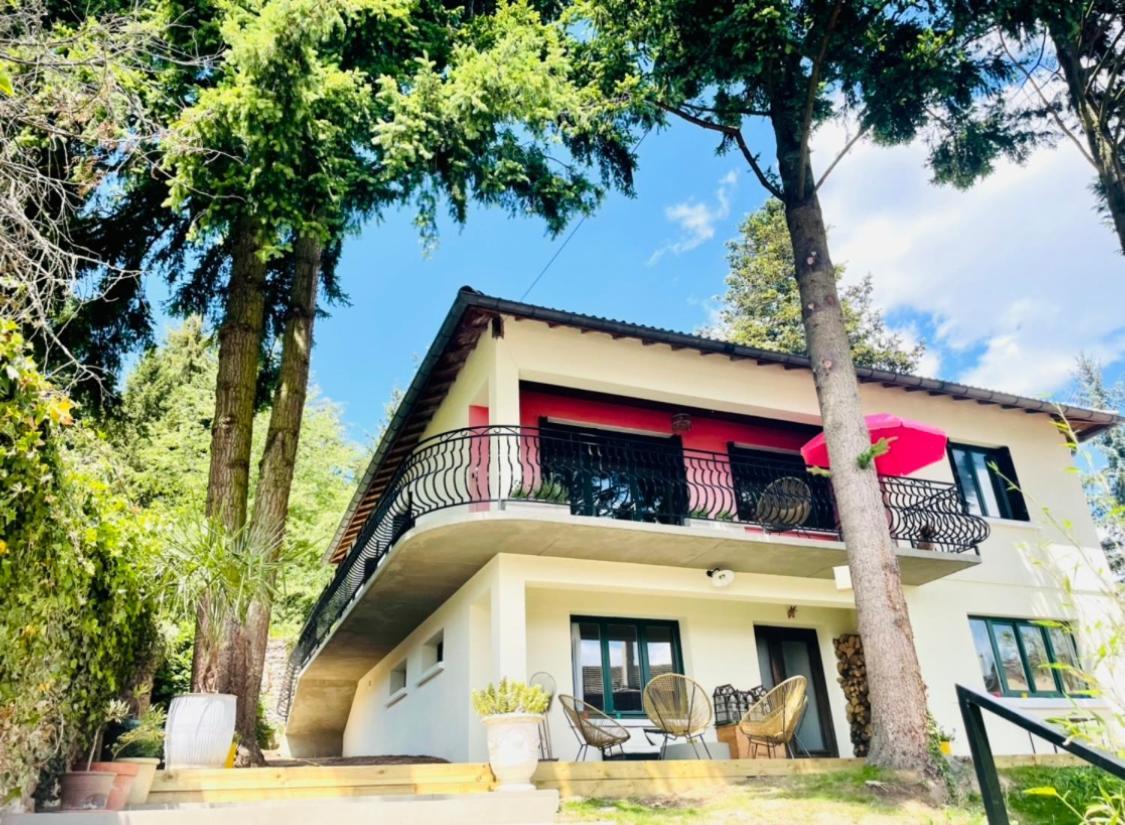 La Madeleine Bed & Breakfast Amplepuis Exterior photo